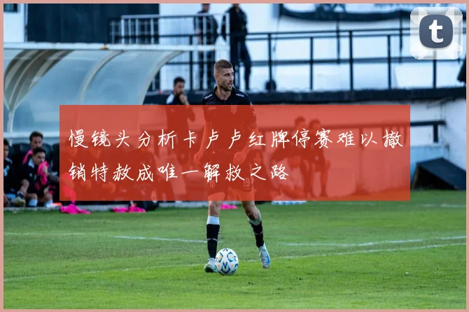 慢镜头分析卡卢卢红牌停赛难以撤销特赦成唯一解救之路